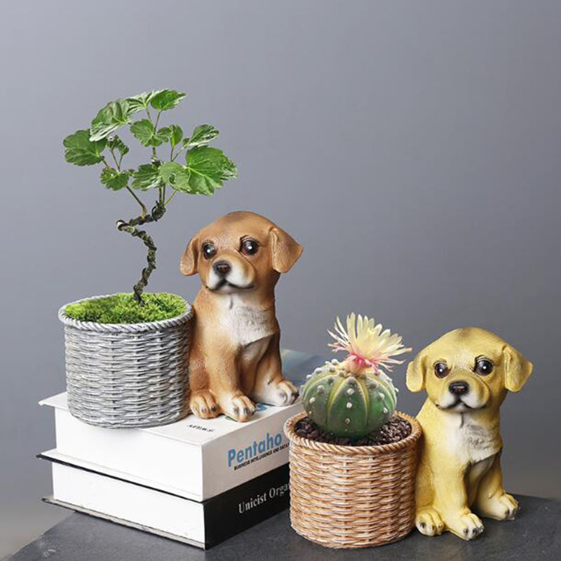 Household Living Room Office R - огляд і ціна Bonsai Garden Art