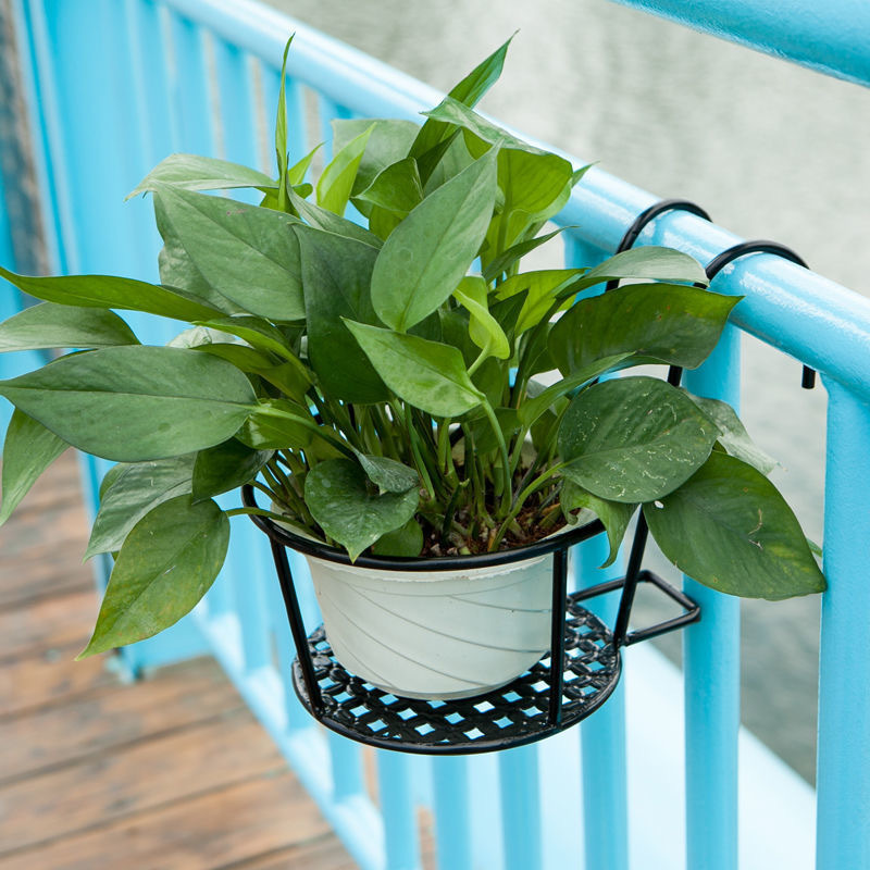 1PC Gardening Pots Outdoor Win - огляд і ціна Bonsai Garden Art